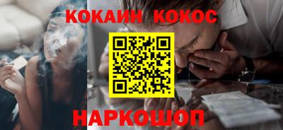 гашик Можга