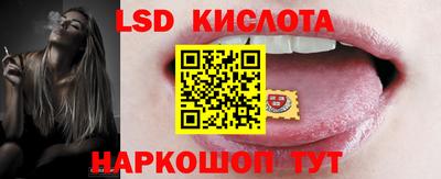 гашик Можга