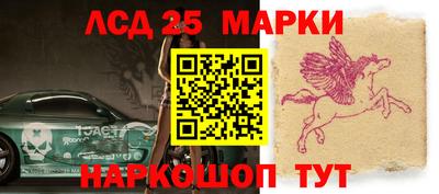 гашик Можга
