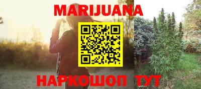 гашик Можга