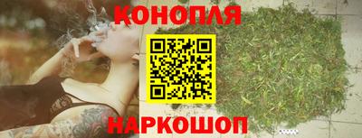 гашик Можга