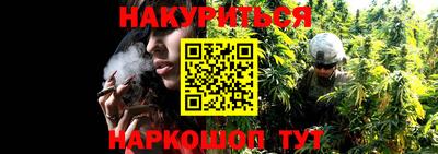 гашик Можайск