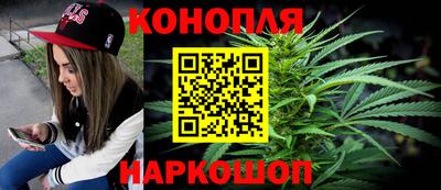 гашик Можга