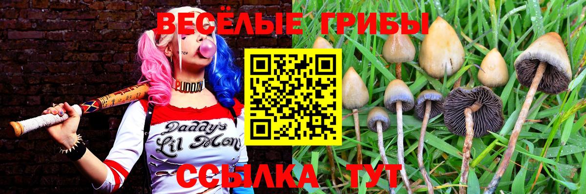 Псилоцибиновые грибы Psilocybine cubensis  Вход с VPN  Псилоцибиновые грибы мухоморы  Чехов 